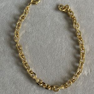 Pulseira Elo Delicado