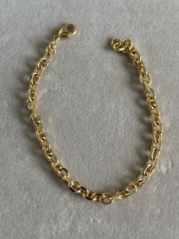 Pulseira Elo Delicado